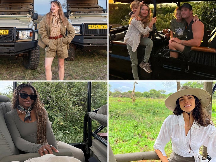 Stars On Safaris … The place The Wild Issues Are!