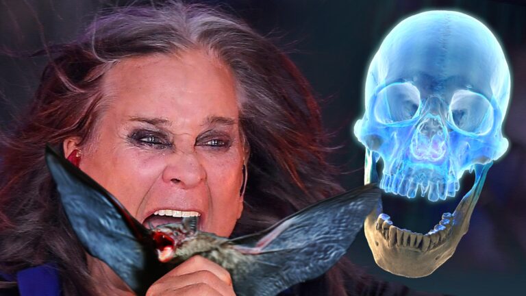 Ozzy Osbourne Needed Major Jaw Strength to Bite Off Bat’s Head, Expert Says