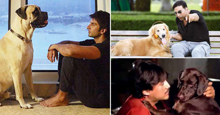 5 Unforgettable Dogs In Bollywood Who Stole The Show With Their Heartwarming Roles