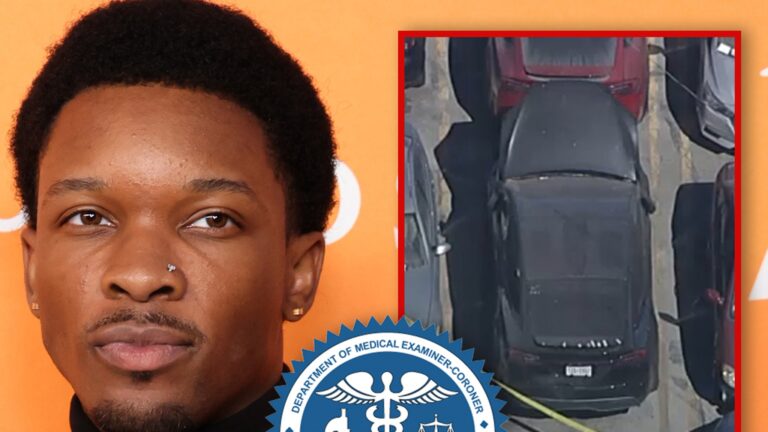 D4vd Criminal Case Takes Interesting Turn, Murder Victim ID’d As Female