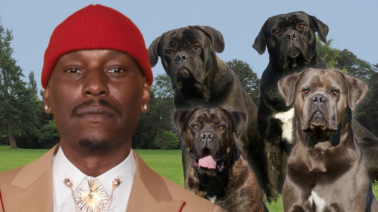 Tyrese Fully Cooperating With Cops After His Mastiff Kills Neighbor’s Dog
