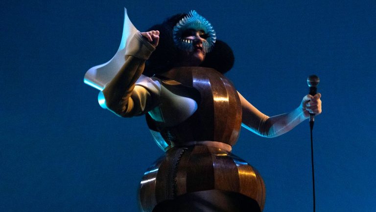 Björk Calls for Greenlandic Independence