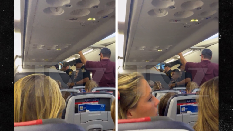 Duct-Taped American Airlines Passenger Taken Into Police Custody In New Video